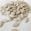 Inner Mongolia  Wholesale Roasted Pumpkin Seeds