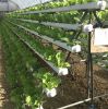 OMANA Nft Channels For Hydroponic Growing