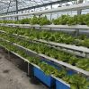 OMANA Nft Channels For Hydroponic Growing