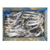 Frozen Sardine for Fis...