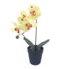 wholesale high quality for home decoration with flowers real touch simulate green plants artificial simulated orchids