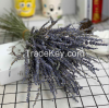 lavender bouquet dry Yunnan lavender flowers dried Interior decoration