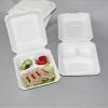 9 Inch Compostable Sugarcane Bagasse Free Clamshell 3 Compartment Food Container