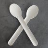 Paper Pulp Biodegradable Disposable Eco Friendly Bamboo Spoons