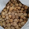 New Crop 2021 Washed Walnut 185 With Best Quality