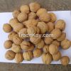 New Crop 2021 Washed Walnut 185 With Best Quality