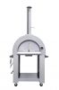 Hyxion Pizza Oven outdoor kitchen barbecue Easil Cleaned grill bbq grill with bbq tool