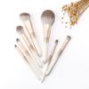 Ombre Glitter Makeup Brush Collection