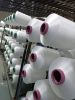 Manufacturer DTY weft ...