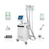 Cryolipolysis Body Sli...