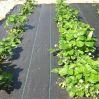 Outdoor Vegetable Weed Mat Ground Cover Uv