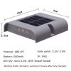 6LED side walk solar led light