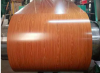 Galvanized Color Coate...