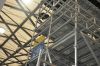 Hot Dipped Galvanized Ringlock Scaffolding System For Construction