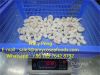 Vannamei  Shrimp