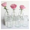 1 Pack Glass Bud Vase ...