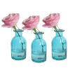 1 Pcs Glass Bud Vase f...