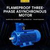 YBX3 series flameproof three-phase asynchronous motor (please contact customer service for specific price).