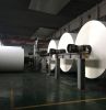 pe coated paper