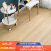 Metal Coating Series Environmental Protection Health Laminate Wood Floor