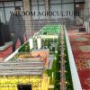 INTELLIGENT AGRICULTURAL SAND TABLE DIY DEVELOPMENT DESIGN AND CONSTRUCTION MODEL