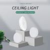 Gangtai-Zhuoerxin/250 always bright ceiling lighting/20 units/box/The price is for reference only