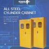 All steel bottle holding cabinet multiple functions laboratory drug cabinet provide customized size