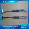 DingChang-Bird protect...
