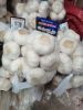 Fresh garlic