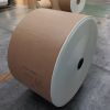 PE coated paper roll