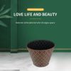 Indoor and outdoor plastic flower POTS