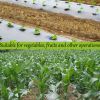 Support agricultural degradable film white weeding film thermal insulation moisturizing film wholesale (Price consultation)