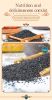 sesamin black sesame seed extract sesamin powder