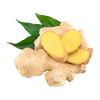 pure organic ginger root extract gingerol powder