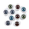 Toy Accessories Plastic Oval Doll Eyes Acrylic Fixed Eyes