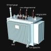 Oil immersed transformer products