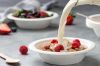 BAGASSE BOWL Compostable