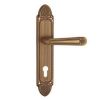 Zinc Alloy Door Handle...