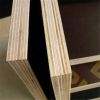 film faced plywood/phenolic board