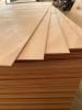 commercial plywood/ bi...