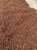 star anise