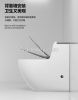 Jet siphon toilet