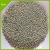  Wholesale Quick Clumping Bentonite Cat Litter