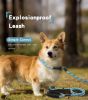 Reflective Nylon Dog L...
