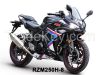 Racing motorcycles RZM250H-8