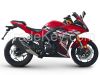 Racing motorcycles RZM250H-8