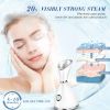 Facial Steamer, Warm M...