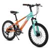 boy mountain bike