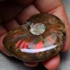 Iridescent Ammonite with blue rainbow pendant