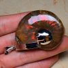 Iridescent Ammonite with blue rainbow pendant